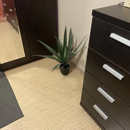 Park View Center - 2 Bdr Appartement *