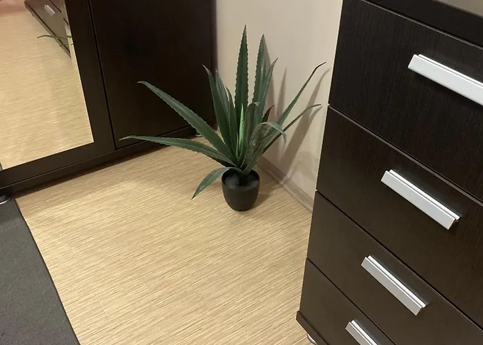 Park View Center - 2 Bdr アパート *